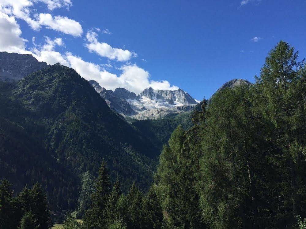 Hotel Ancora Castello-Molina di Fiemme Eksteriør billede