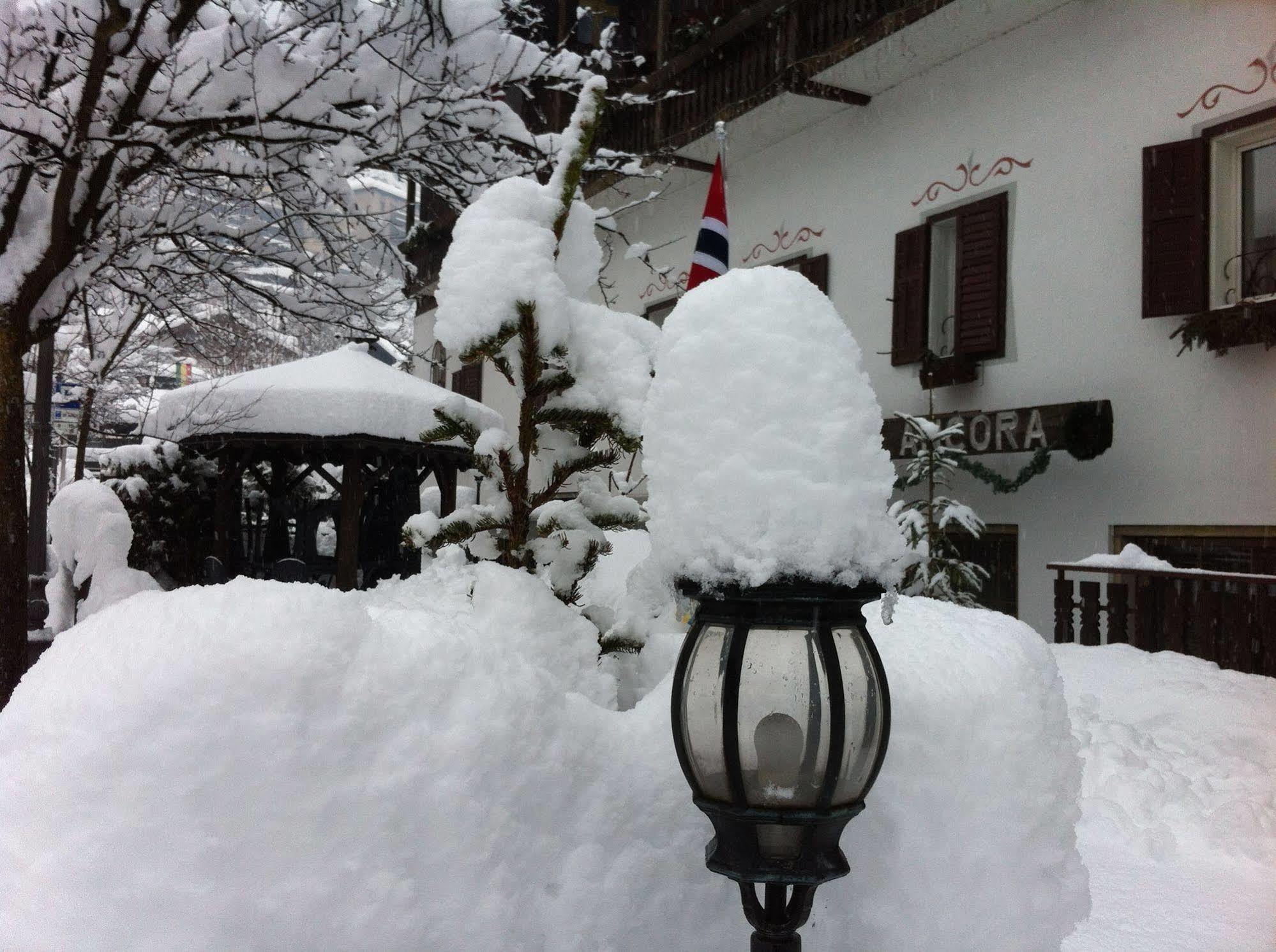 Hotel Ancora Castello-Molina di Fiemme Eksteriør billede